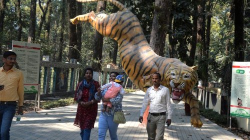 Indische Justiz ordnet Umbenennung von Zoo-Löwen an 