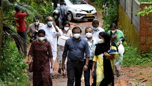 Ausbruch der Seuche in Indien: Wie gefährlich ist das Nipahvirus?
