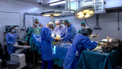   
  Wie Ärzte aus Deutschland in Syrien Leben retten 