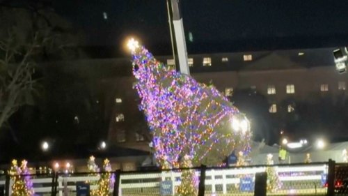 Nahe dem Weißen Haus: Wind wirft Nationalen Weihnachtsbaum in Washington um