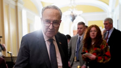 Erster demokratischer Abgeordneter fordert Rücktritt von Chuck Schumer 