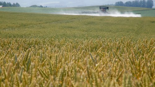 US-Jury verurteilt Bayer zu 2,1 Milliarden Dollar Schadensersatz in Prozess um Unkrautvernichter 