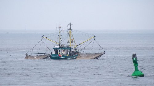 Neue Maximalsumme: Fischer können wegen gestiegener Spritpreise höhere Finanzhilfen erhalten