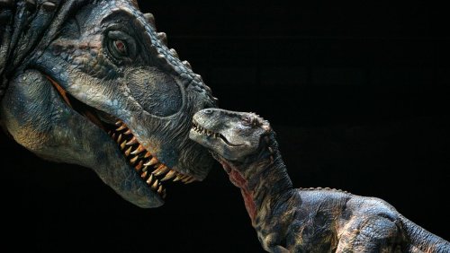 Forscher über Riesenechsen: »Dinosaurier waren hervorragend darin, Katastrophen zu überleben«