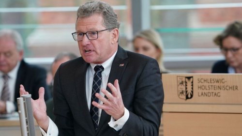 Ex-Landeswirtschaftsminister kritisiert Regierung für Northvolt-Förderung 
