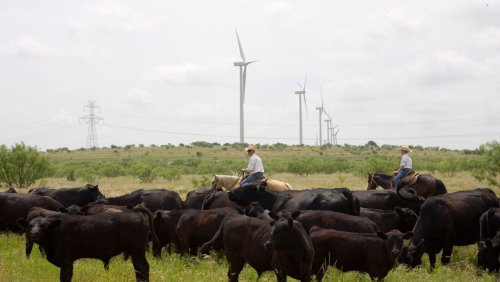Erneuerbare Energien weltweit: Die USA geraten in den Windkraft-Rausch – und wir sollten folgen