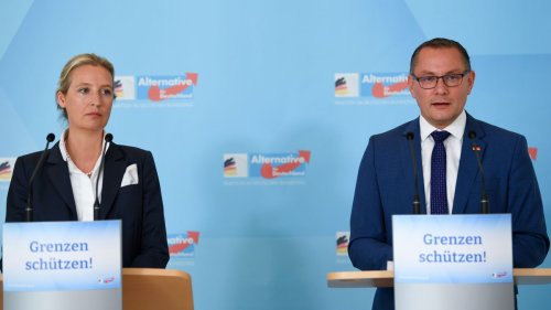 Zweifel an Lebensläufen: AfD-Spitze will Ämtersperre für Europawahl-Kandidaten