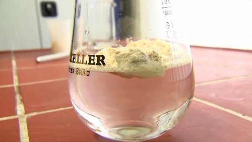 »Das hat die Welt gebraucht«: Wie Bierpulver aus Brandenburg viele Probleme lösen soll