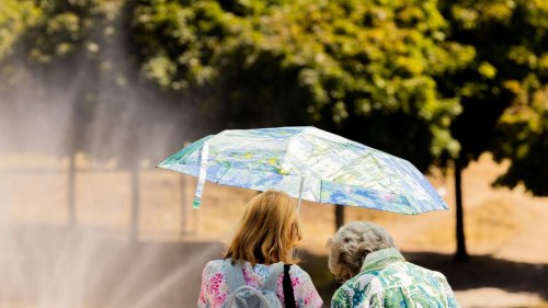 RKI meldet 9800 Hitzetote in diesem Jahr | Flipboard