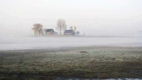 Deutschland hat das gleiche Problem: Niederlande drohen Bauern im Gülle-Streit mit Enteignung