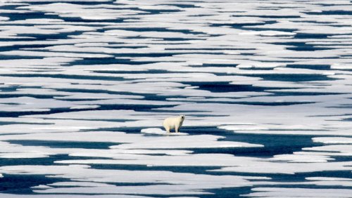 Auswertung von Satellitendaten: Erwärmung in der Arktis fast viermal schneller als weltweit