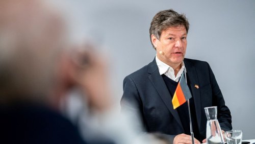 Der gesunde Menschenverstand: Habecks Horrorverdacht