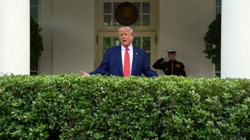 Donald Trump freut sich über Papst aus den USA 