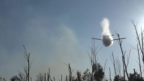 Löscheinsatz aus der Luft: Waldbrand bei Jüterbog weitet sich aus – Flugzeug soll im Kampf gegen Flammen helfen