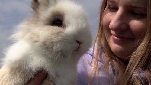 »Kaninchen sind keine Tiere für Kinder« 