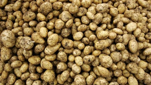 Säckeweise Lebensmittel: Unbekannte entsorgen 900 Kilogramm Kartoffeln am Feldrand