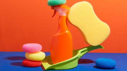 Streitthema Sauberkeit: Wie oft muss ich das wirklich putzen?