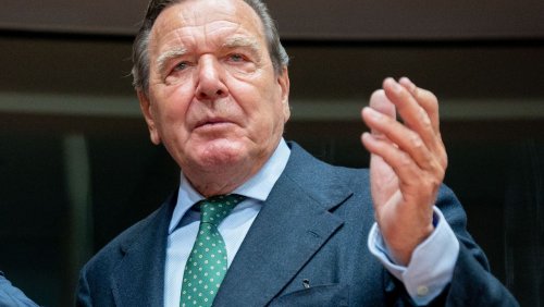 Gerhard Schröder: Rettung durch Rückzug?