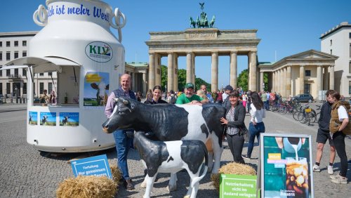 Preis im freien Fall: Milchbauern verlangen staatliche Hilfen gegen Überproduktion