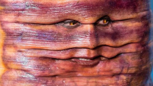 Selbstinszenierung und Schönheitsnormen: Der Body-Horror der Heidi Klum