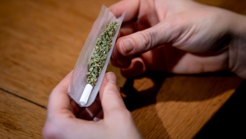 Justizminister plant Regeln zur Legalisierung: Cannabis-Verkäufer sollen Süchtige erkennen können