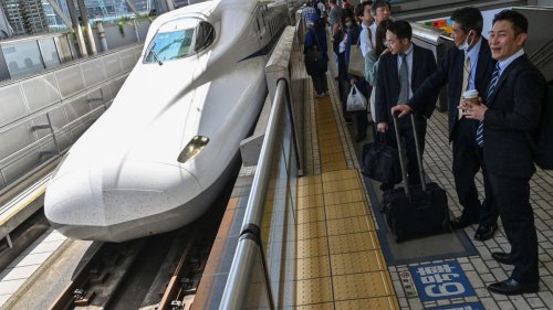 Schlange bremst Shinkansen aus 