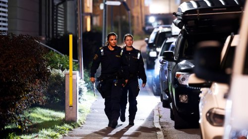 »Fuchs« gegen »Erdbeere«: Die Bandenkriminalität eskaliert – ausgerechnet in Schweden
