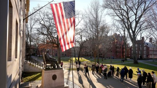   
  So rüsten sich US-Universitäten für den Kampf gegen die Trump-Regierung 