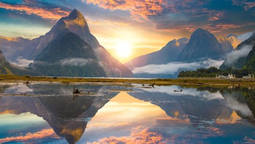 Fjord in Neuseelands Südwesten: Warum ich im Urlaub Ratten jagte