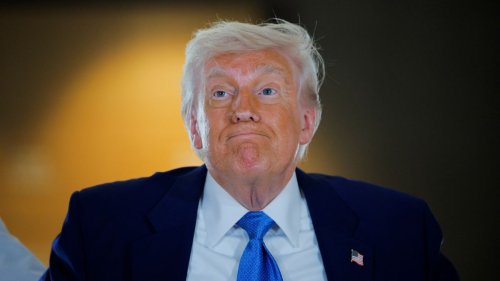   
  »Trump ist ein sechsjähriger Kinderfaschist« 