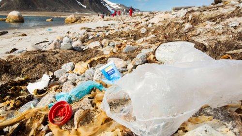 Strände von Spitzbergen: Müll aus Deutschland in der Artis entdeckt