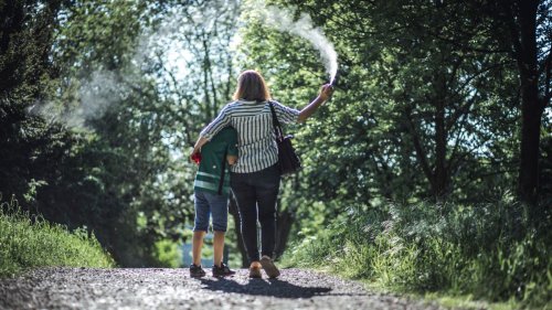 Mücken, Wespen, Zecken: Bsssss – das können Sie gegen lästige Sommergäste tun
