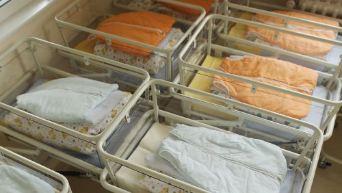 392.598 Kinder in zwölf Monaten: Italiens Geburtenrate sinkt auf Rekordtief