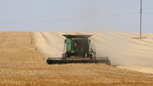 Aktuelle Satellitendaten: Weizenernte in der Ukraine überraschend schwach