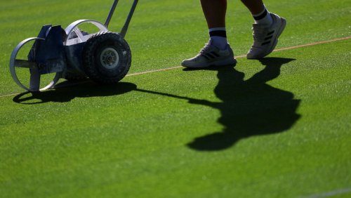 Zum Start des Grand-Slam-Turniers: Was Wimbledon mit dem Rasenboom in Deutschland zu tun hat