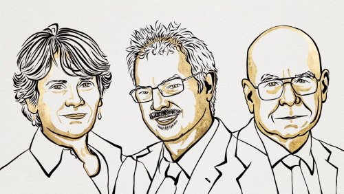 Nobelpreis für Chemie geht an drei Moleküldesigner aus den USA und Dänemark