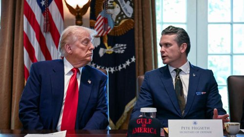 Präsidiale Verfügungen: Was will Trump mit dem Militär?