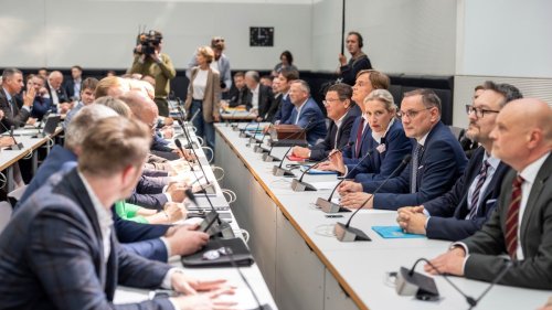   
  Warum die AfD keine Ausschussvorsitze bekommt 