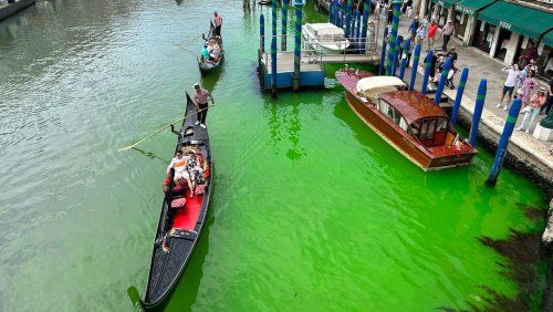 An Rialtobrücke: Ursache von grün verfärbtem Canal Grande in Venedig geklärt