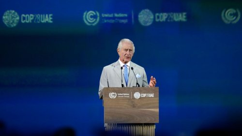 König Charles’ Eröffnungsrede bei der COP28: »Unsere Überlebensfähigkeit ist gefährdet«