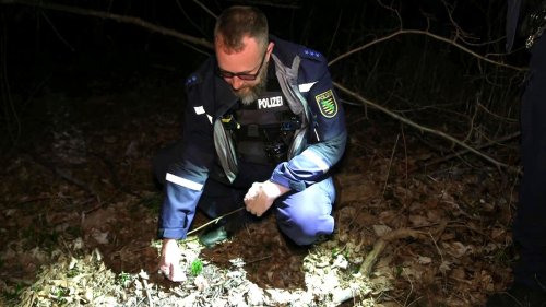 Mit Leipzigs Polizei auf der Jagd nach Bärlauchdieben 