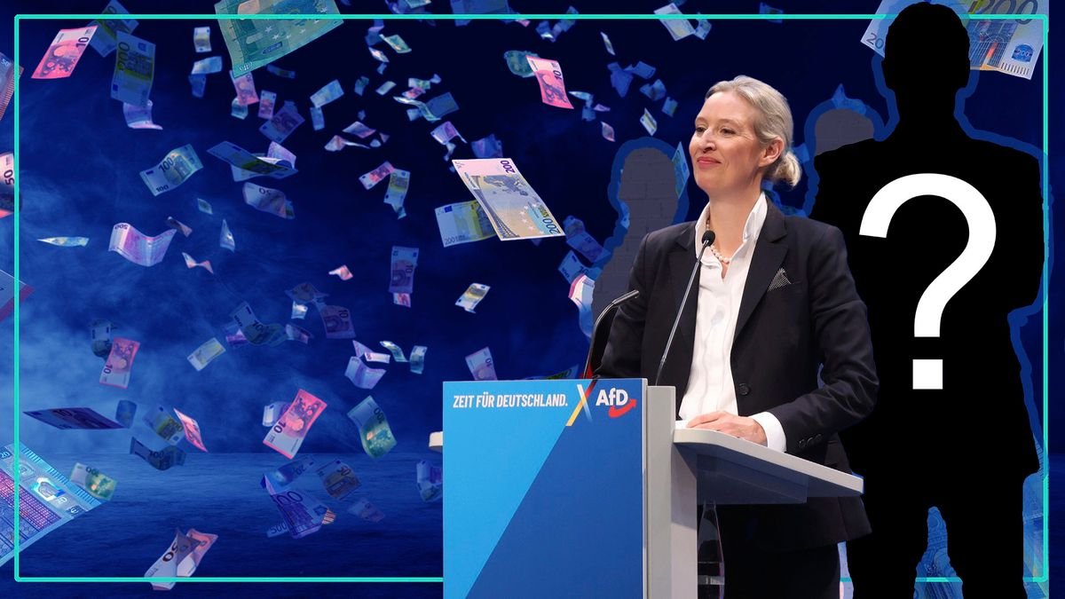 Das Phantom hinter den AfD-Millionen