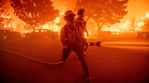 Klimabedingte Waldbrände könnten in den USA 15.000 Todesfälle mitverursacht haben 