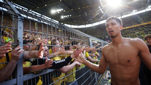 Schwankender Kurs: Lohnt sich der Kauf von BVB-Aktien?