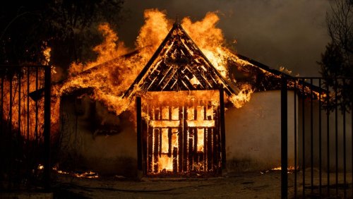 Hunderte Waldbrände in Chile – mindestens 22 Tote