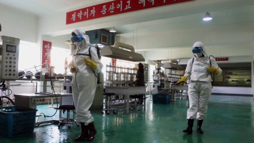 Warnung vor »fremden Gegenständen«: Pjöngjang macht Südkorea für Corona-Ausbruch im eigenen Land verantwortlich