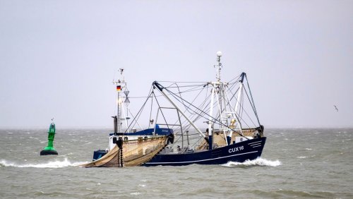 Widerstand der Krabbenfischer: Agrarminister wollen Schleppnetzverbot verhindern