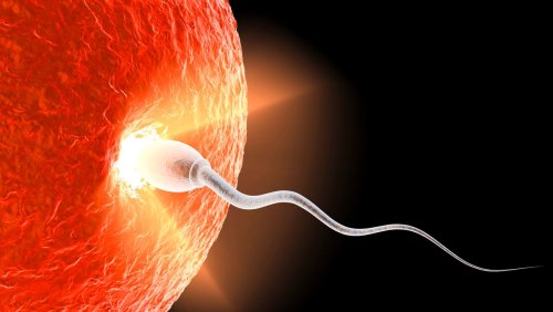Verhütung und Abtreibung: »Sperma ist eine gefährliche Waffe«