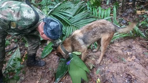 Nach 17 Tagen: Vermisste Kinder nach Flugzeugabsturz in Kolumbiens Regenwald lebend gefunden