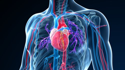Einstufung der Aorta: Herzlichen Glückwunsch, Sie haben ein neues Organ